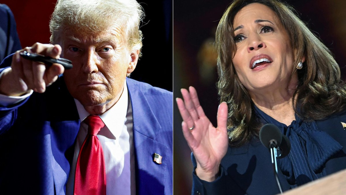 Donald Trump and Kamala Harris, during the campaign.