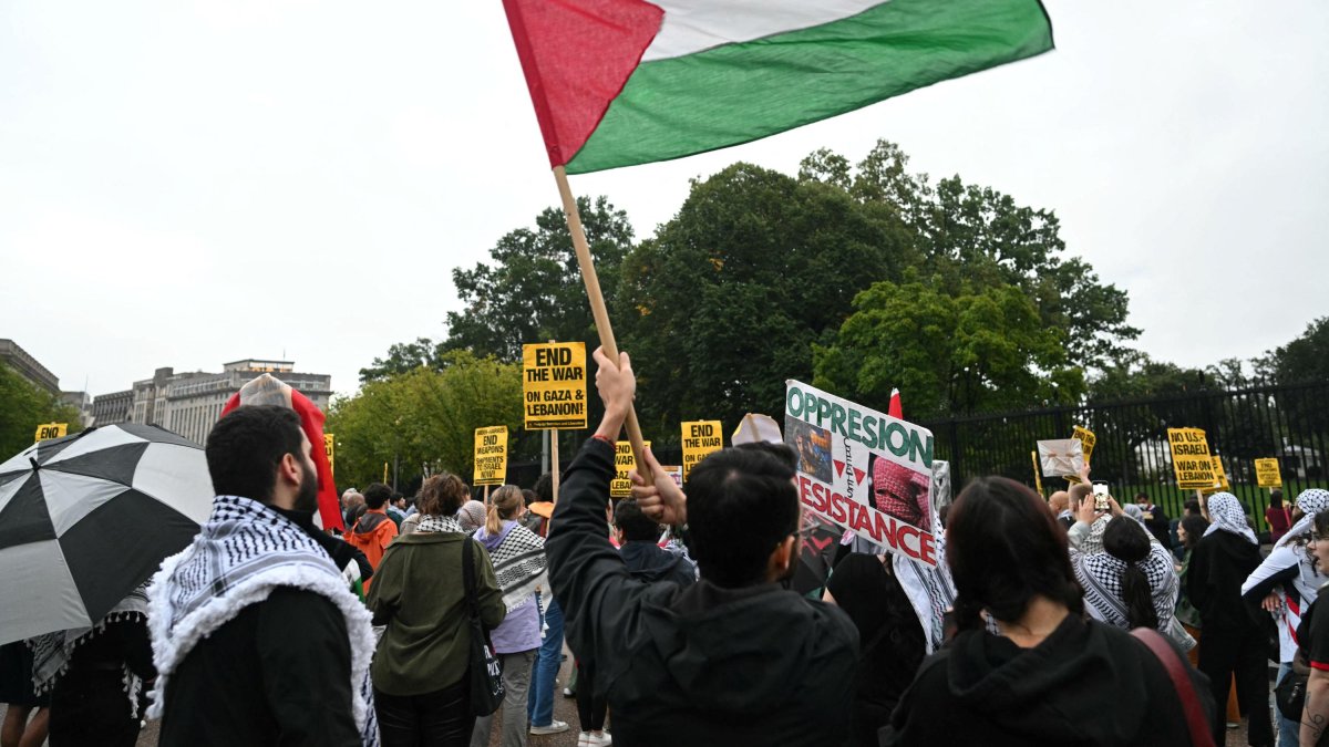 Protesta antiisraelí en Washington