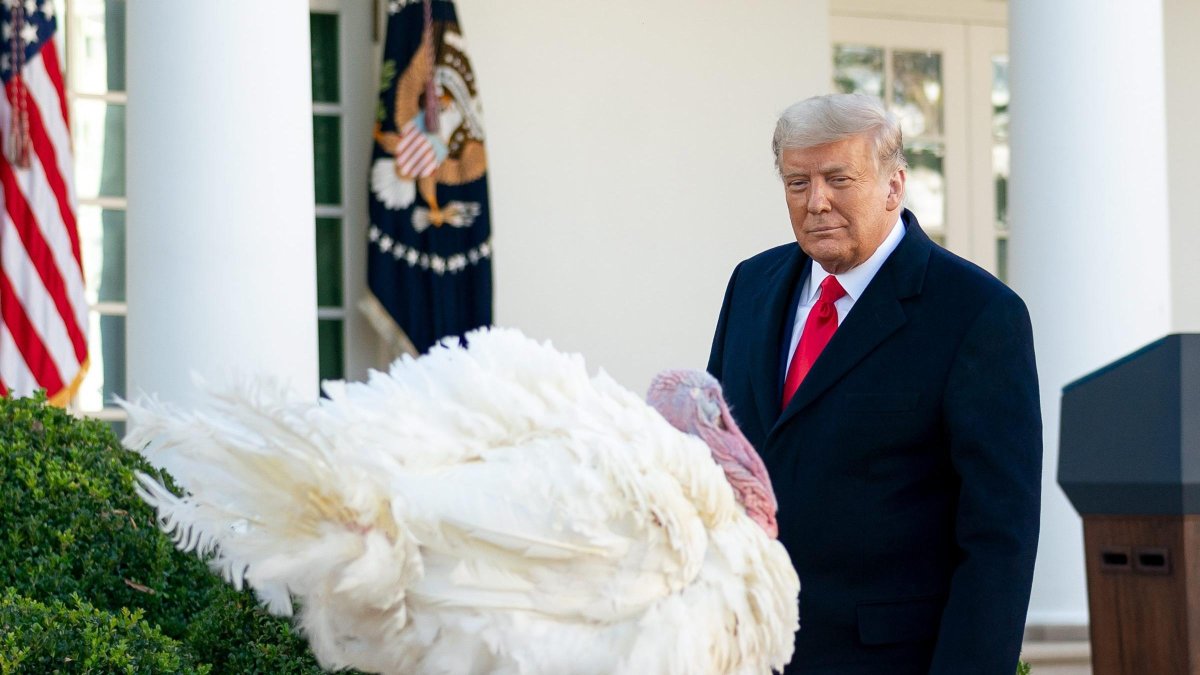 Donald Trump, en el Día de Acción de Gracias de 2020