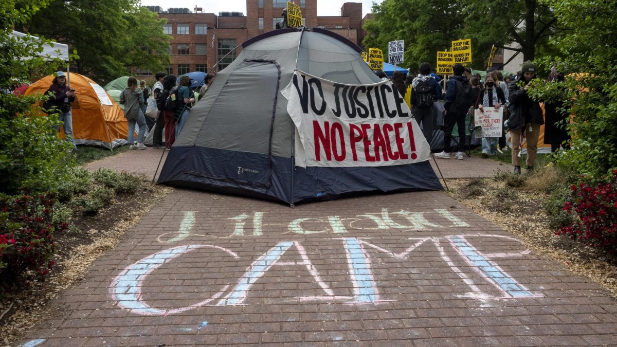 File image of pro-Palestinian protests in the US