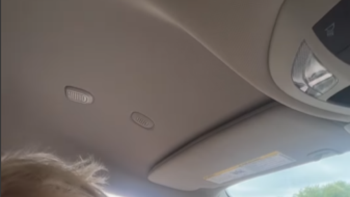 Ostrich sticks its head in Boris Johnson's vehicle.