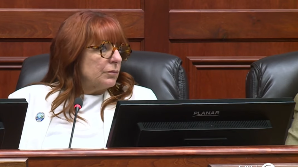 Linda Moore at a town hall meeting.