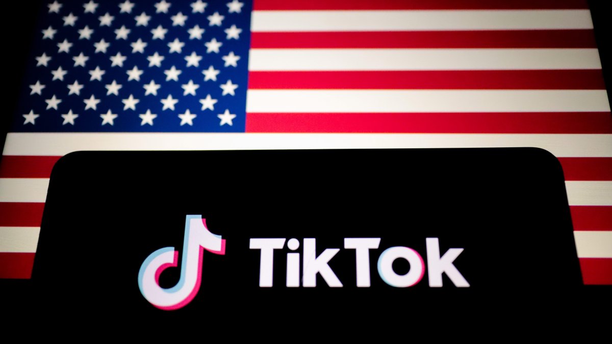TikTok logo