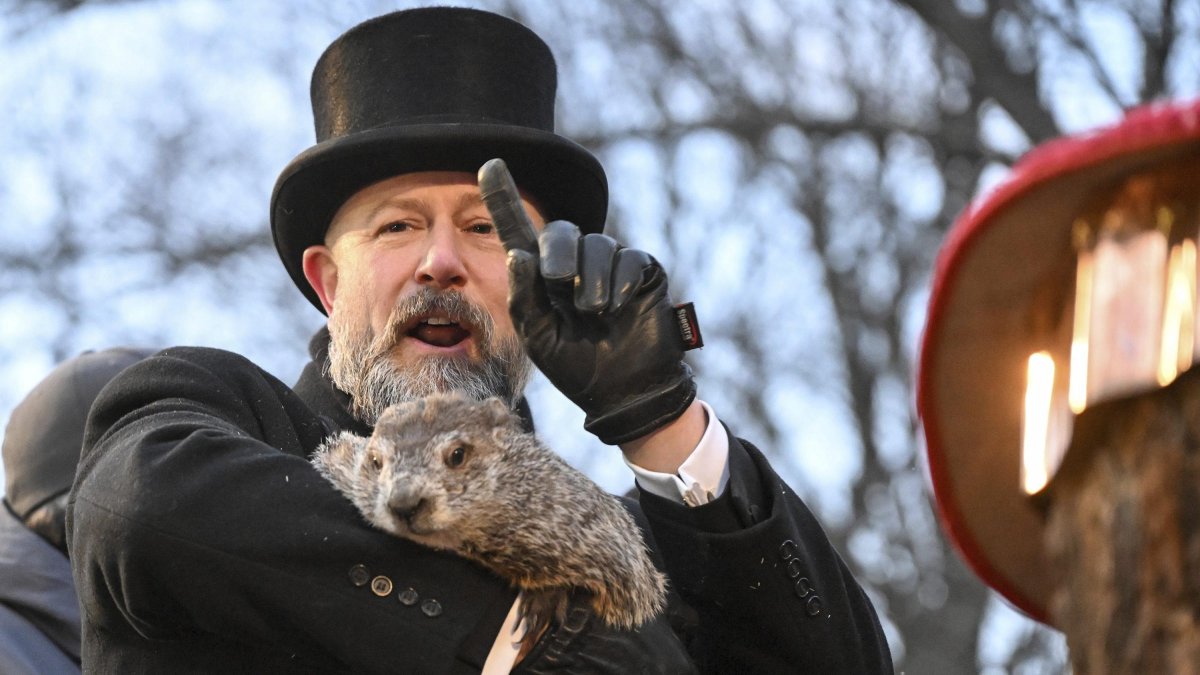 Punxsutawney Phil