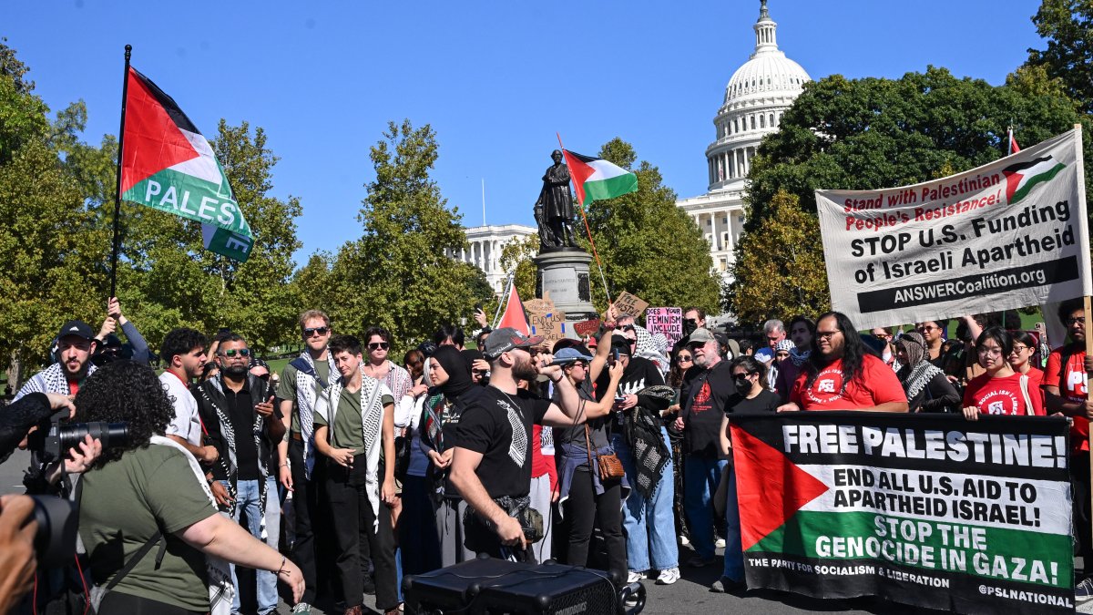 Pro-Palestinian protesters in DC