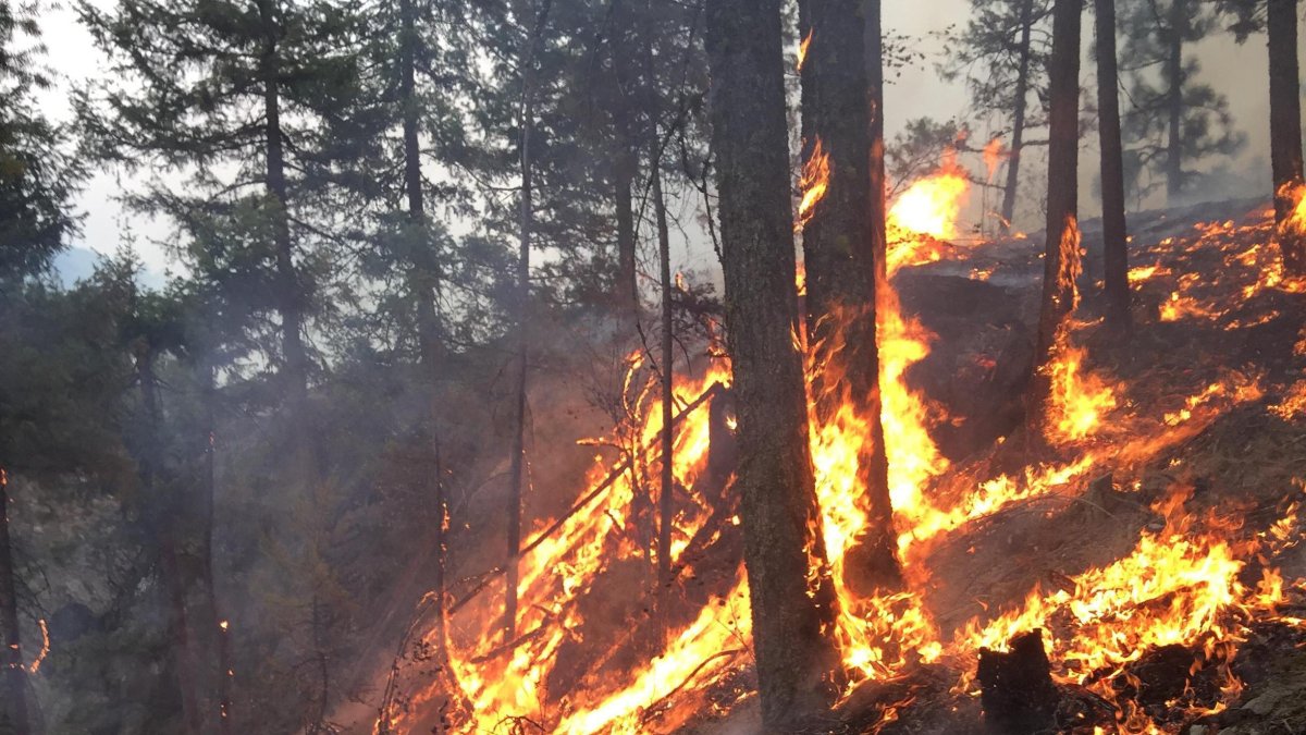 Fire in Washington, in a file photo