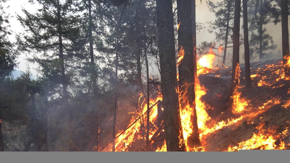 Fire in Washington, in a file photo
