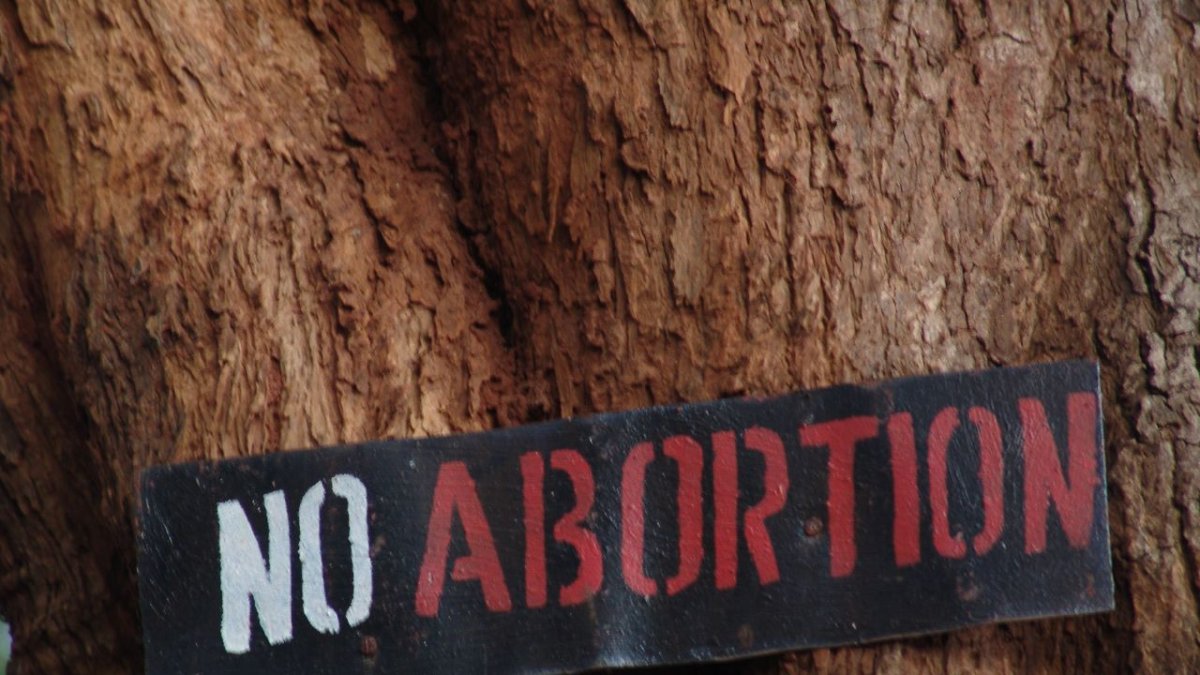 (Babak Fakhamzadeh - Flickr)