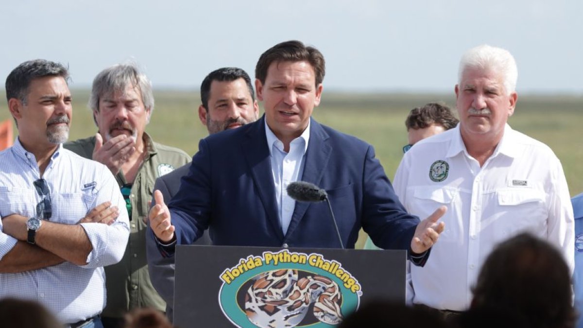 (Phyton Challenge 2022 / Flikr)