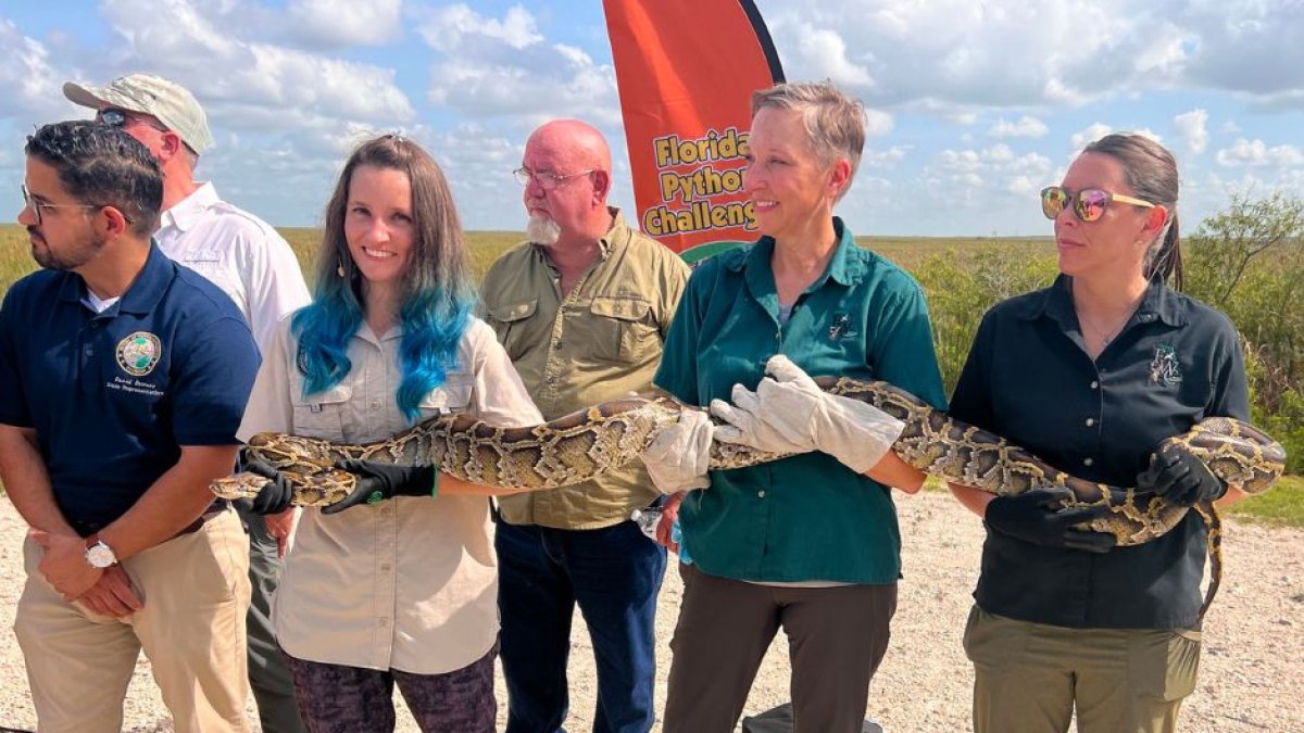 (Phyton Challenge / Flickr)