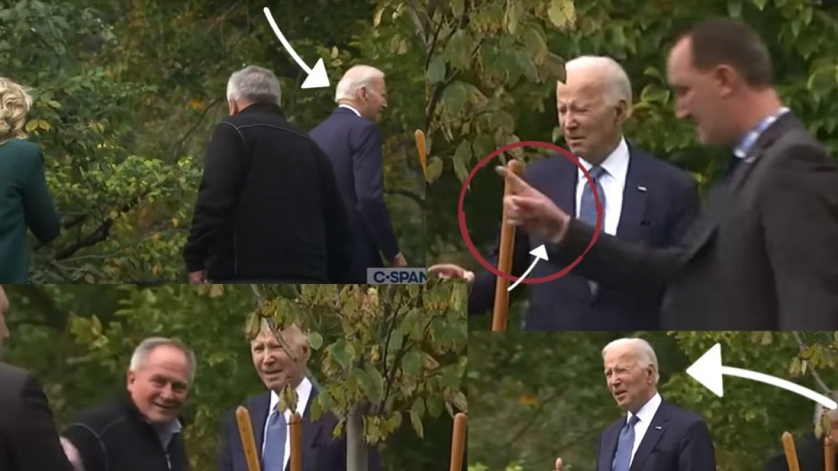 Captura de video/
Daily Mail