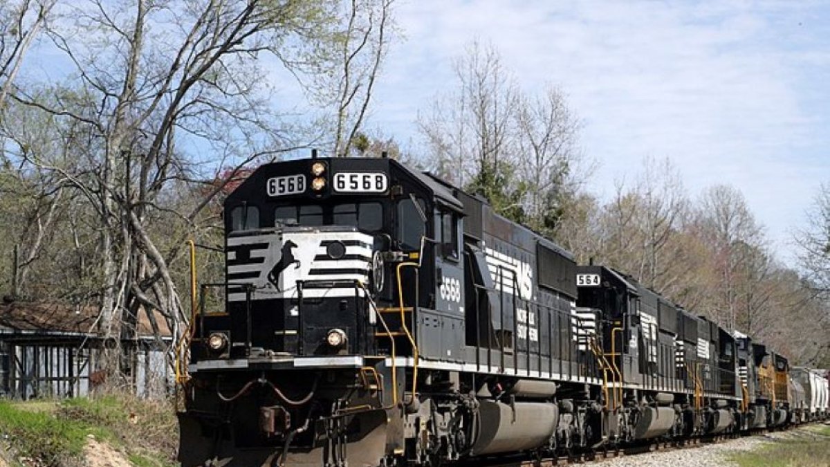 (Wikimedia Commons).