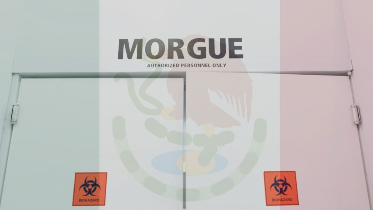 Voz Media (Pexels - Canva)