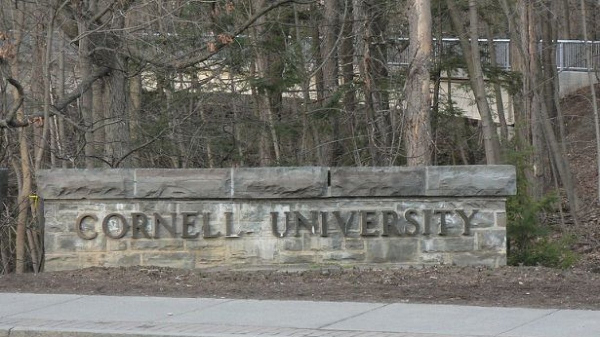 (Wikimedia Commons; Cornell University; Marc Smith)
