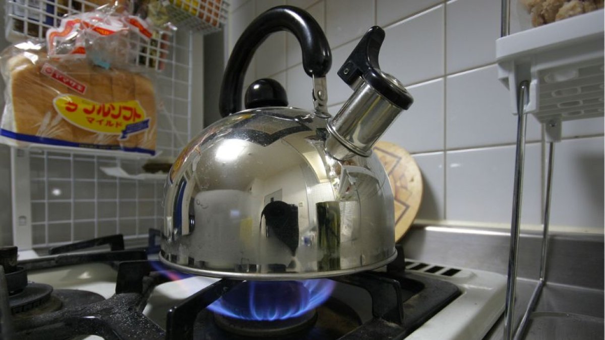 ( Wikimedia Commons )