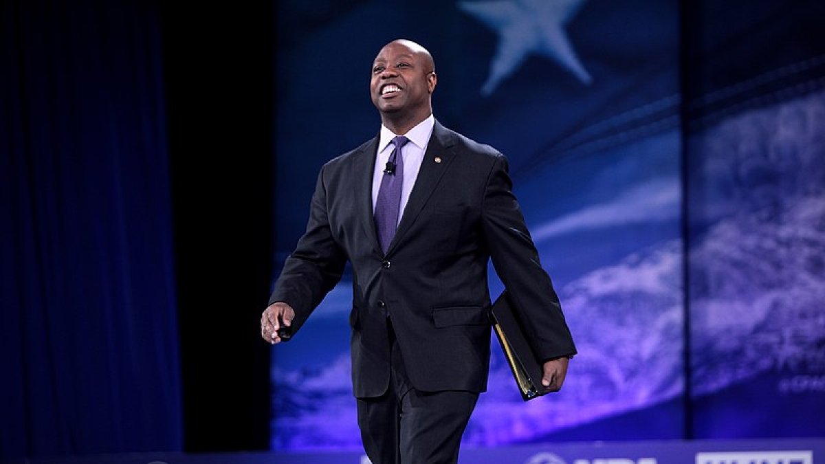 Tim Scott/Wikimedia Commons