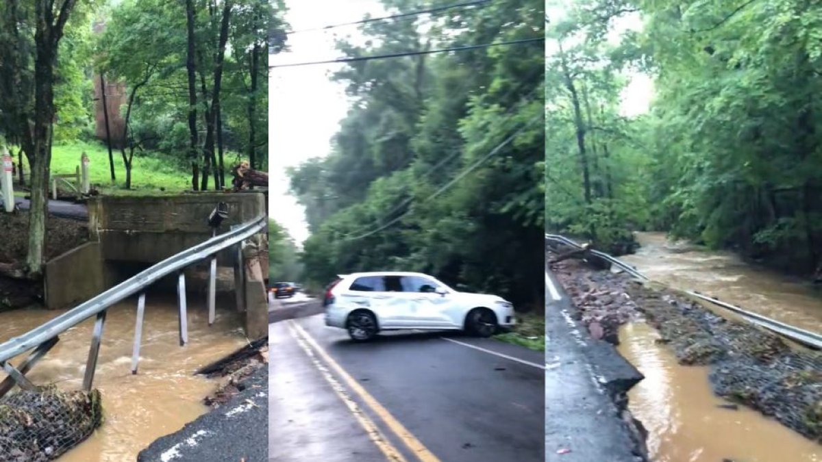 ( Captura de Pantalla / Twitter )