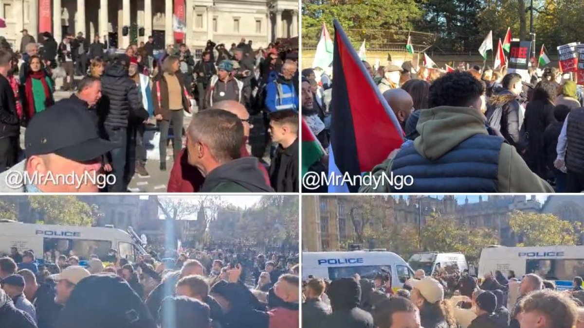 Londres: enfrentamientos en el 'Armistice Day' por una marcha pro-Palestina (Video capture - Twitter / @MrAndyNgo)