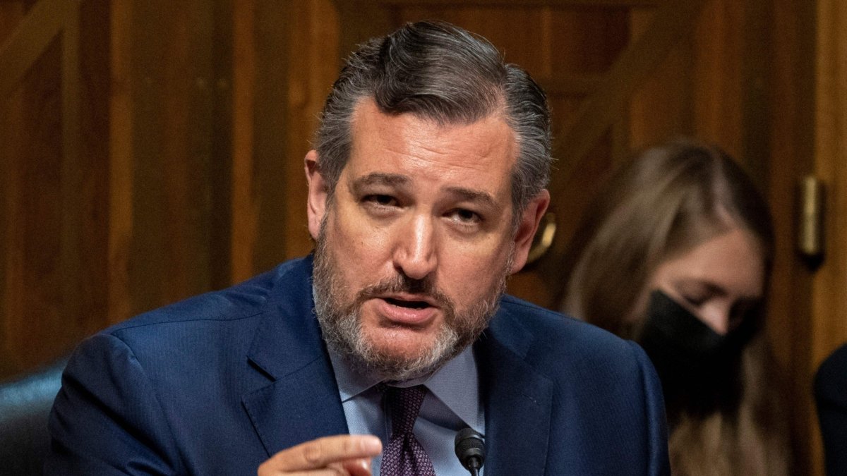 El senador republicano por Texas Ted Cruz, en una comparecencia en el Congreso.