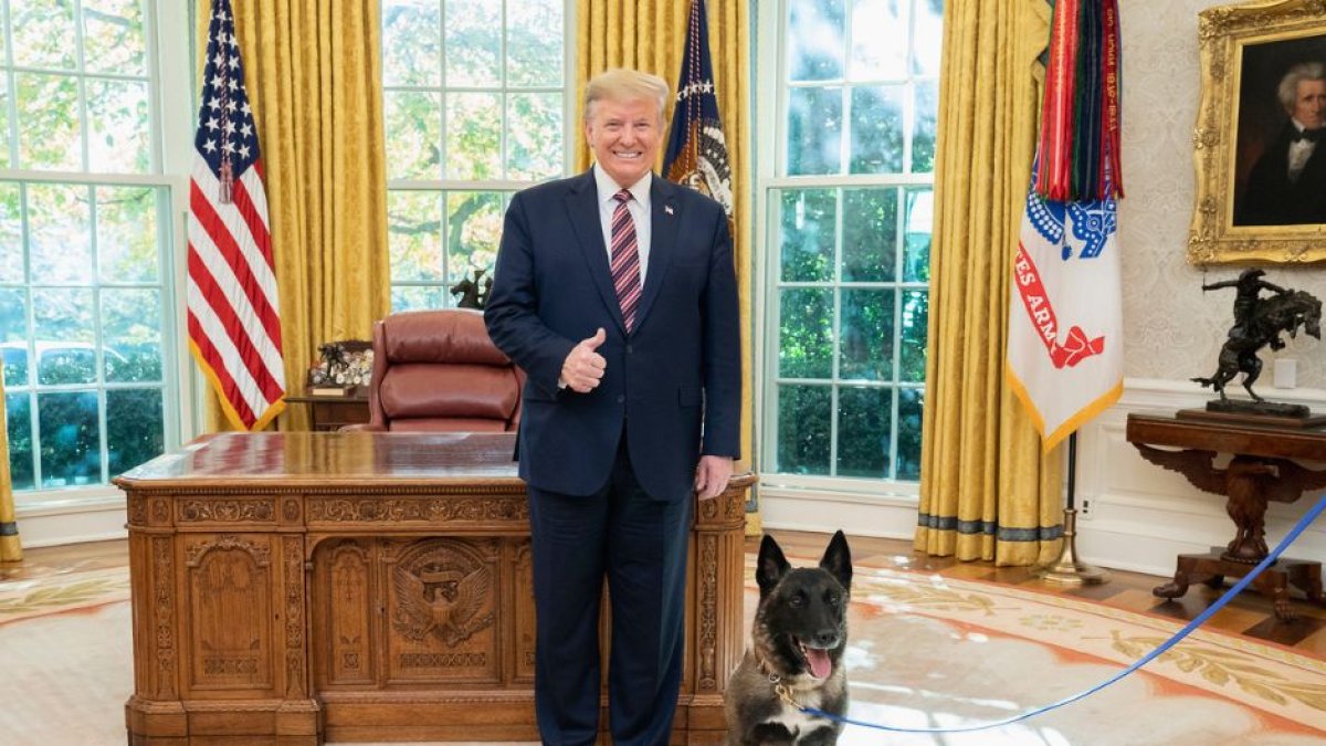 Donald Trump en el Salón Oval con Conan, perro que participó de la operación militar contra el líder del ISIS Abu Bakr al-Baghdadi en 2019. (Flickr)