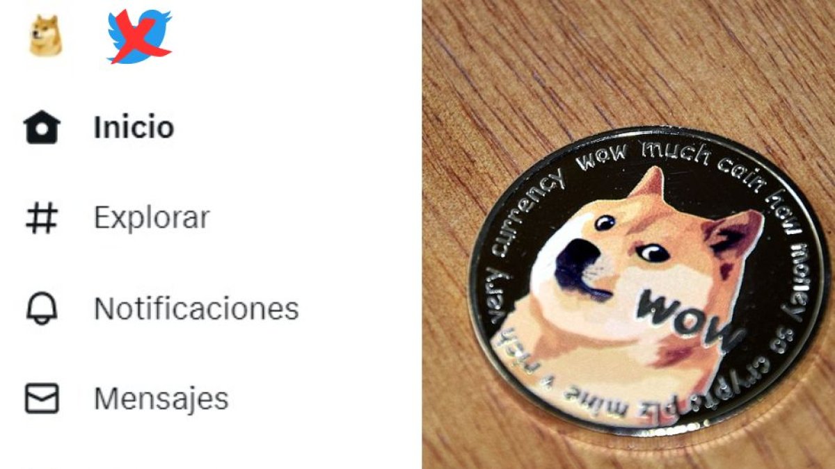 ( Cyril Ernst / Voz.us )