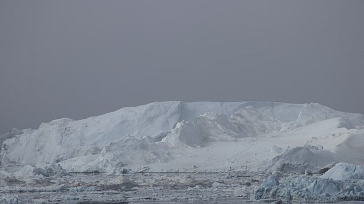 (Buiobuione/Wikimedia Commons)