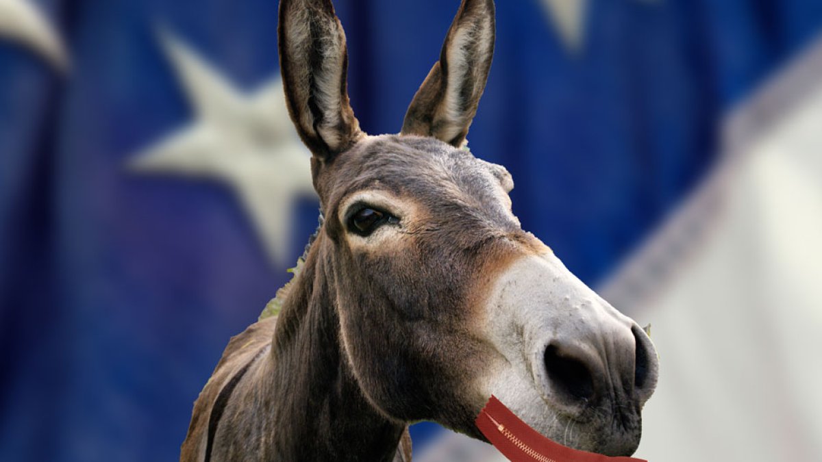 (Christian Camacho / Voz Media / Unsplash)