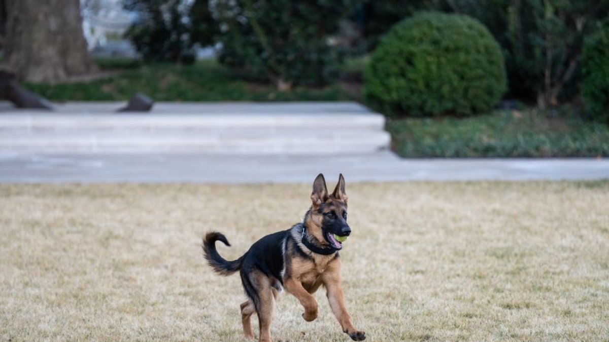 (White House / Flickr)