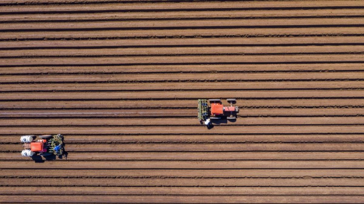 El Senado vota a favor de limitar la compra de tierras agrícolas por parte de China, Irán, Corea del Norte y Rusia