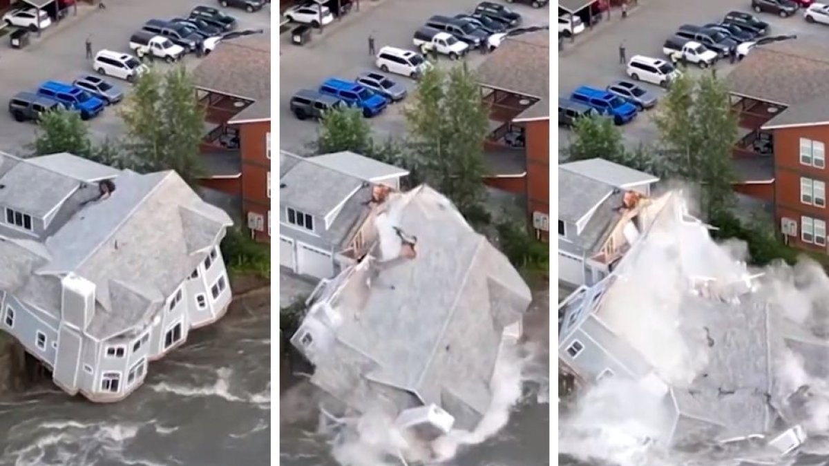 (Screenshot / Twitter: Massimo