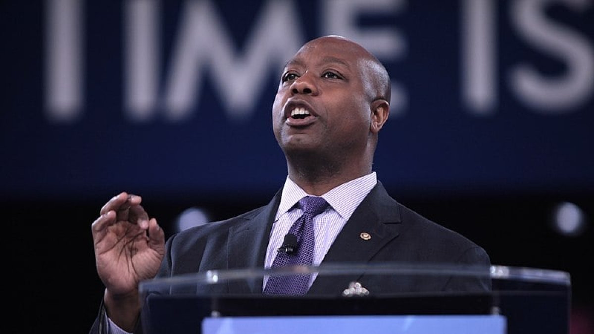 Tim Scott/Wikimedia Commons
