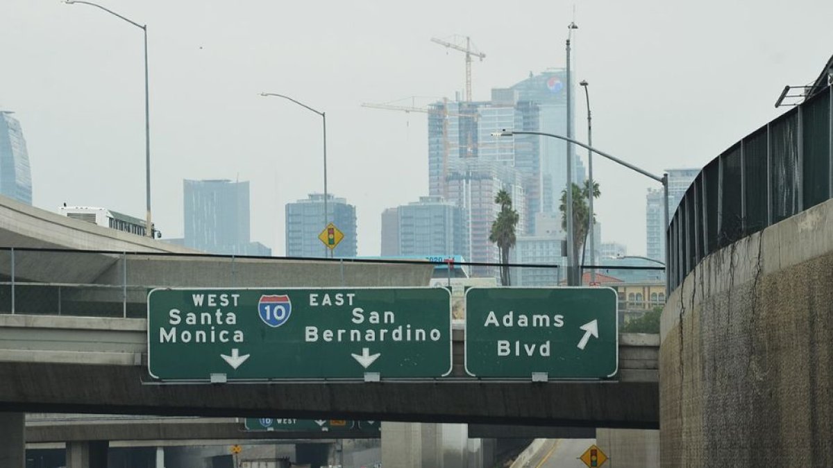 (Wikimedia Commons / Steven Lek )