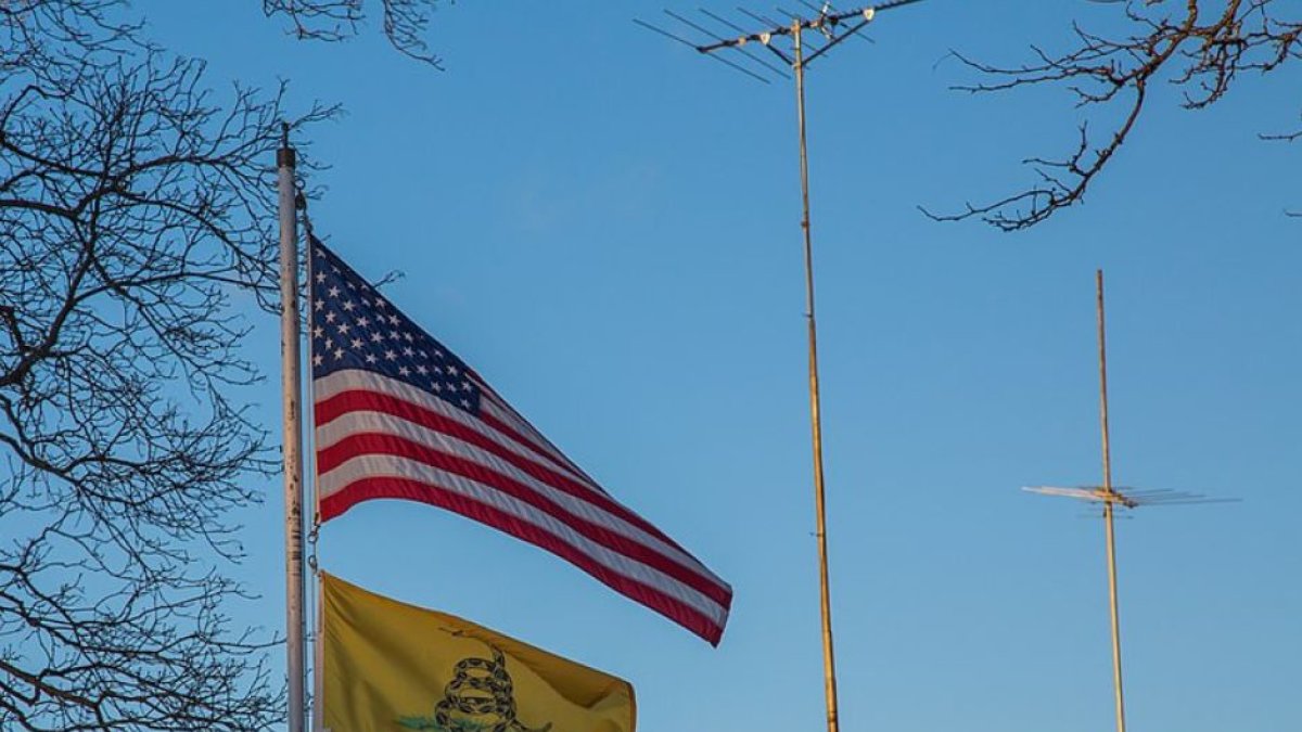 Bandera de Gadsden (Tony Webster/Wikimedia)