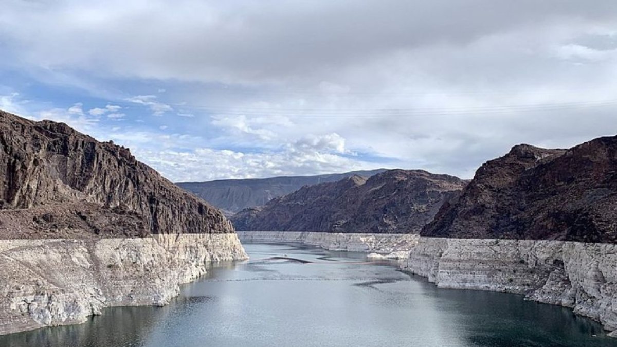 Alerta en Nevada por la ameba 