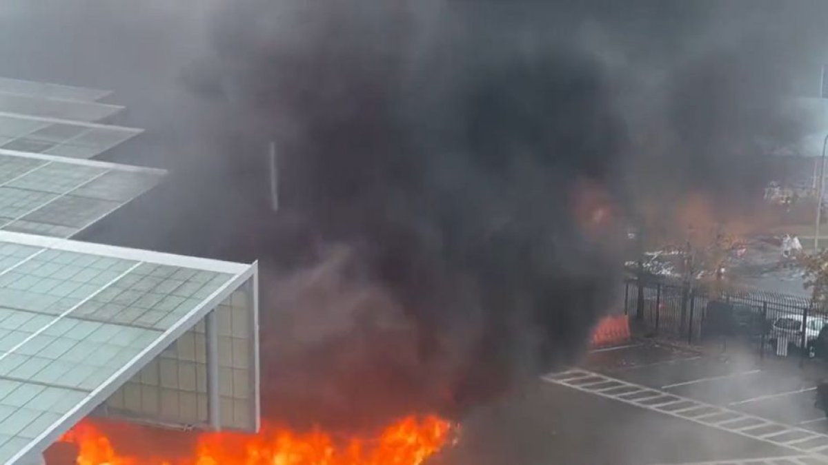 (Captura de Pantalla / Twitter)