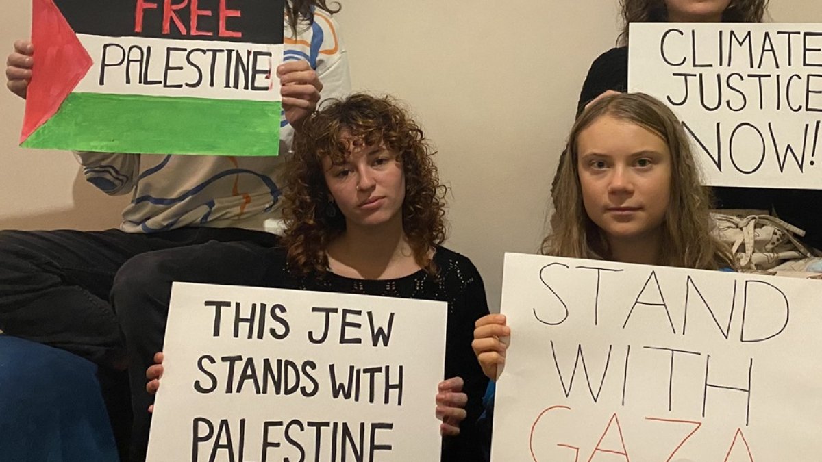 (Twitter- @GretaThunberg)