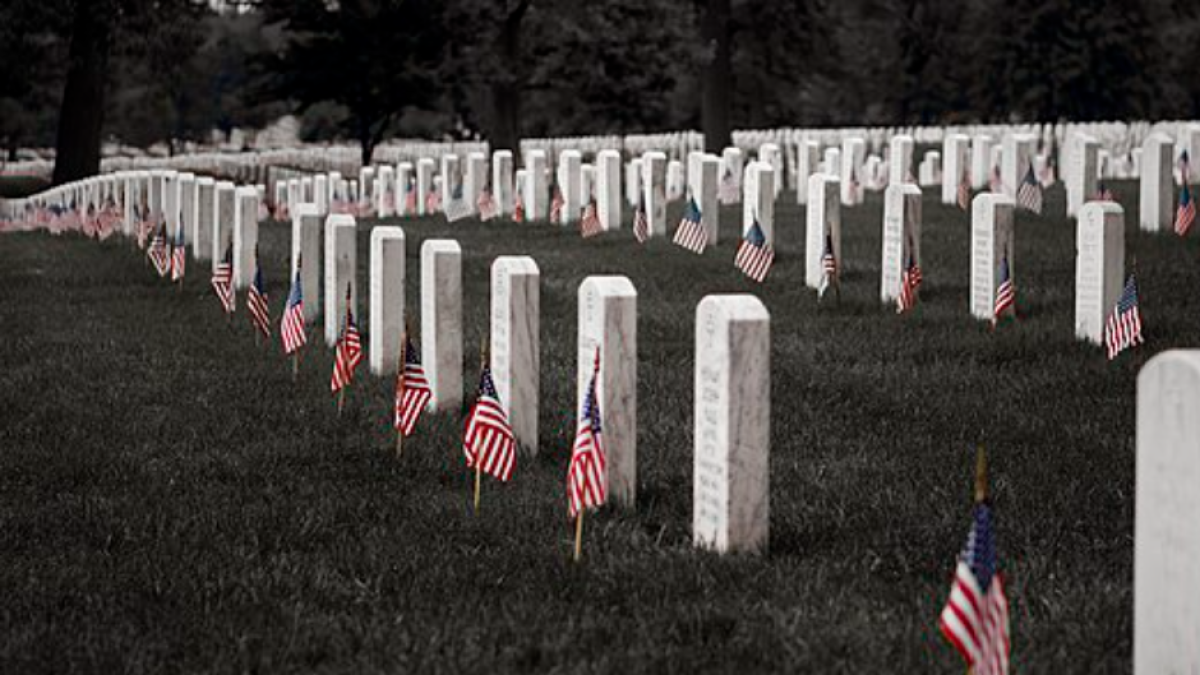 (Wikimedia Commons-SavidgeMichael)