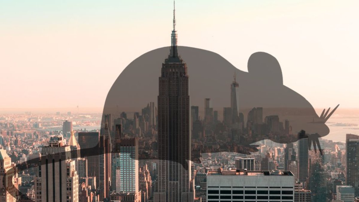 Voz Media (Pexels - Canva)