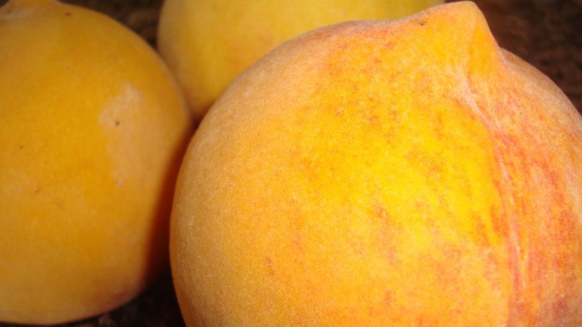 FDA alerta sobre una enfermedad por consumo de melocotón | Creative Commons / Juan Emilio Pradesbel