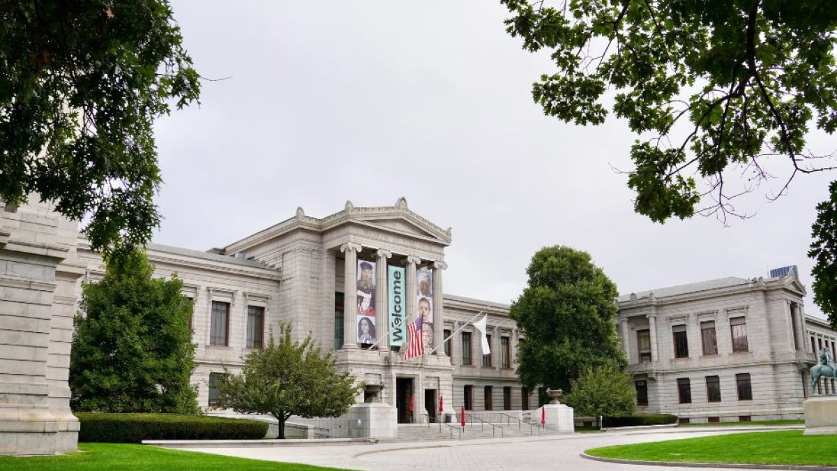 Harvard Medical School / Unsplash