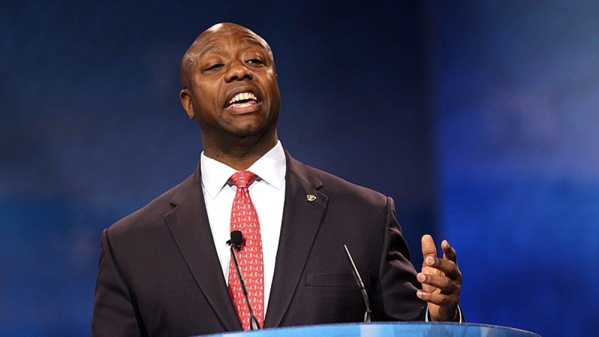 Tim Scott/Wikimedia Commons