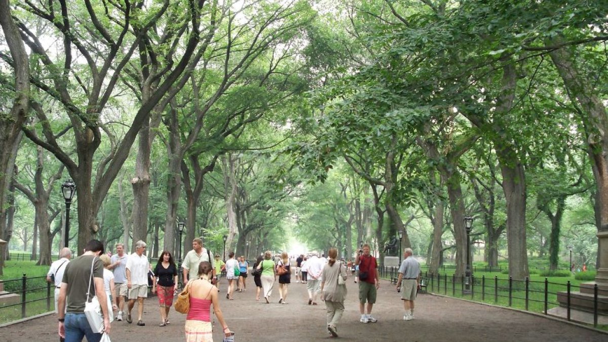 Población Mundial- Central Park (Wikimedia Commons/ ahodges7)