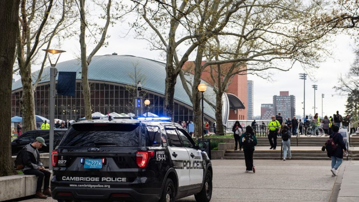 Imagen de referencia. (AFP)