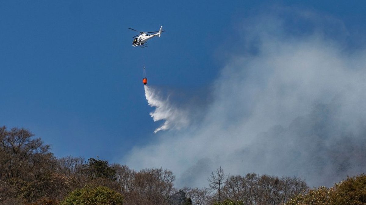Incendios en México 2024 (AFP)