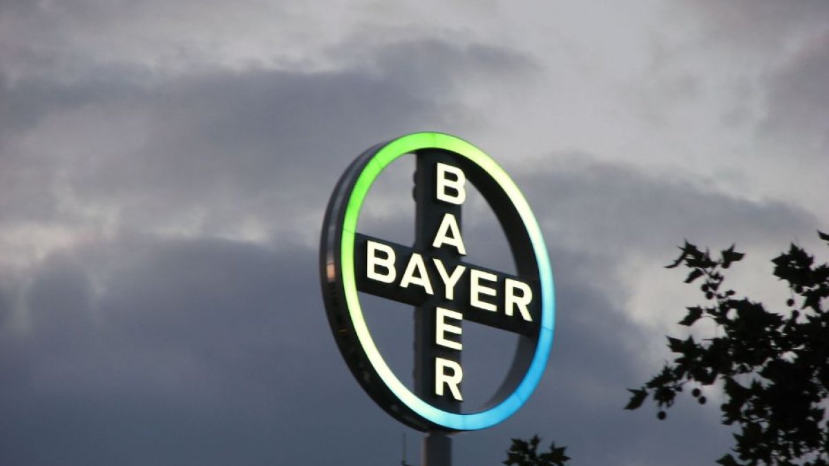 Bayer (Conan / Flickr)