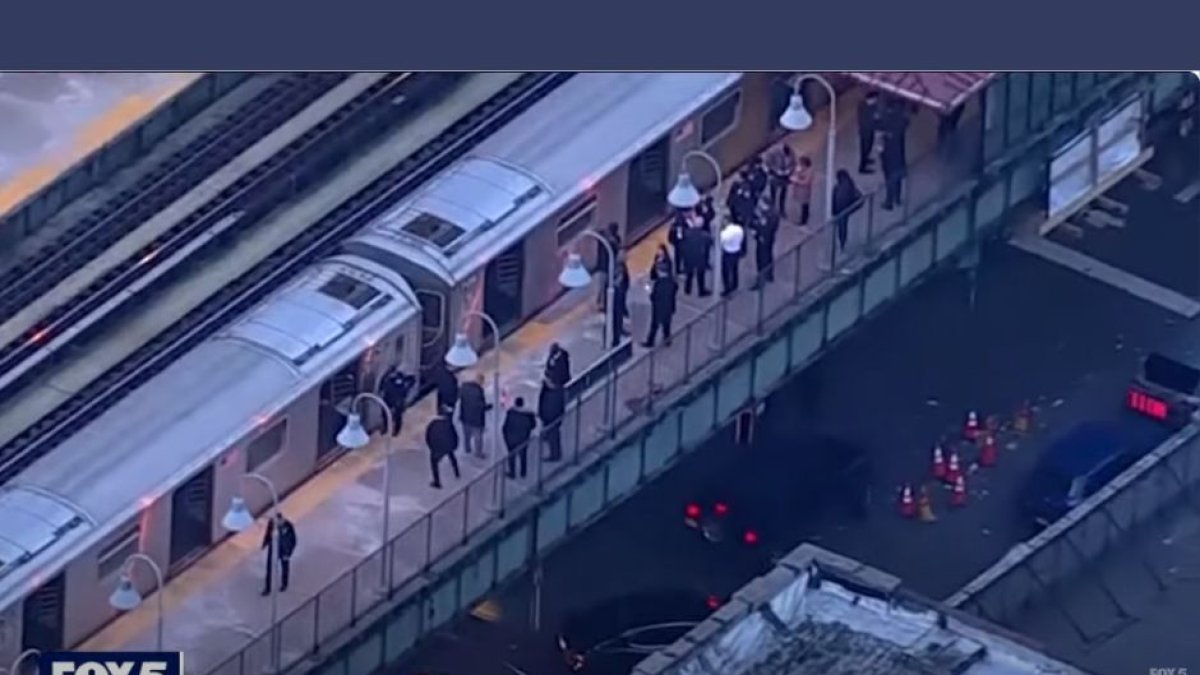 Metro de Nueva York | Captura Fox 5