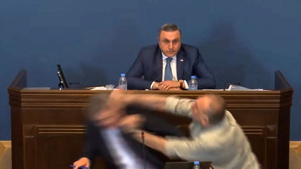 (AFP PHOTO / HO / PARLIAMENT OF GEORGIA)