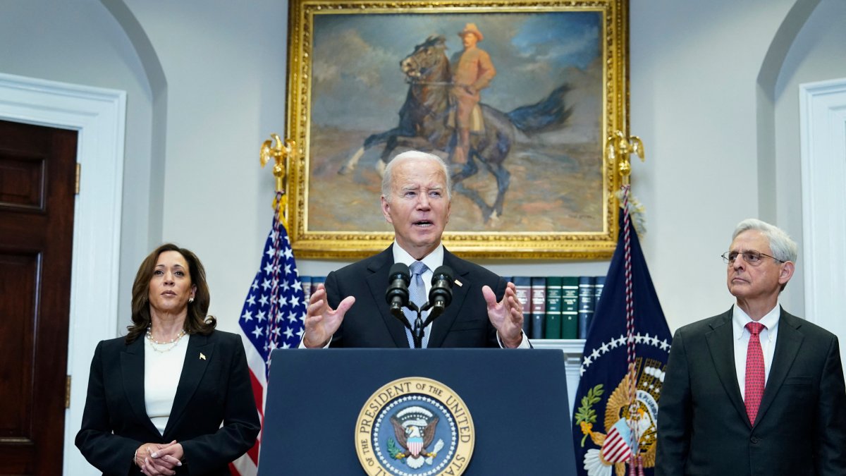 Joe Biden- Mandel Ngan- AFP