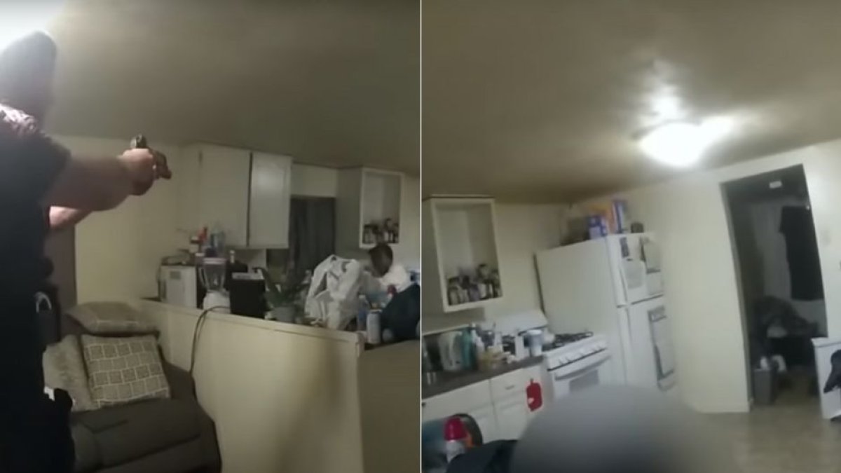 Sonya Massey death at the hands of two officers in Illinois.