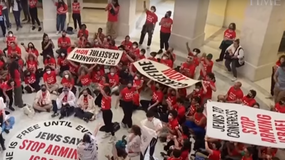 Anti-Israel demonstrators protest against Netanyahu in Congress